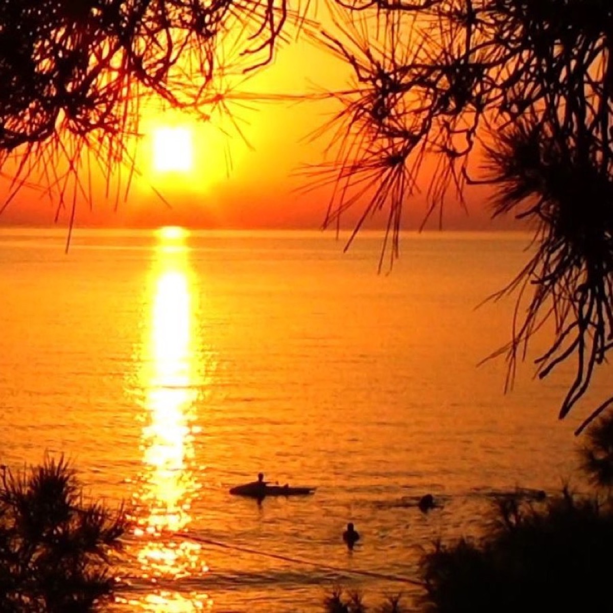 yildiz_tozu99 profil fotoğrafı