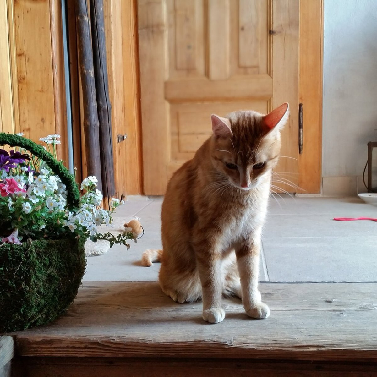 esma_ecz profil fotoğrafı